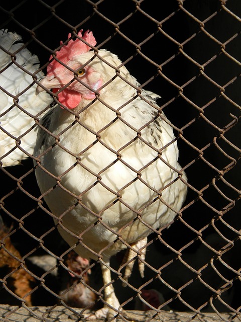 准的射门和 准的射门和