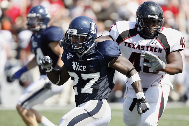 专家指出 专家指出