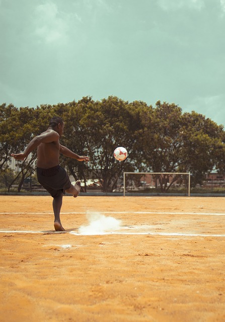 天津门虎远 天津门虎远