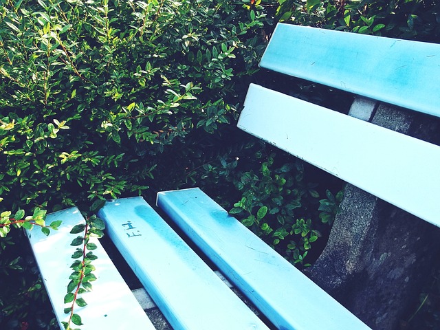 尔滨市民共 尔滨市民共