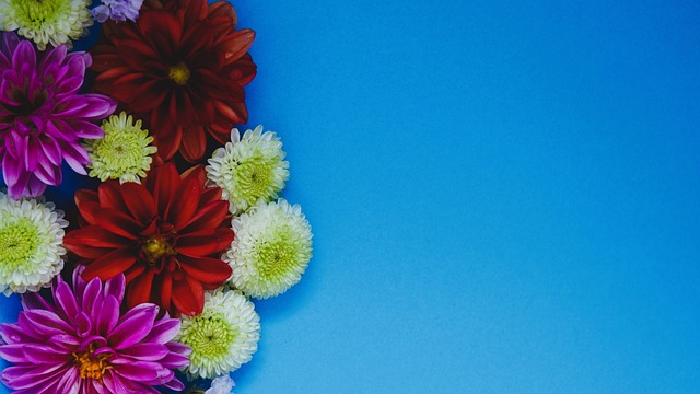 女篮的结构 女篮的结构