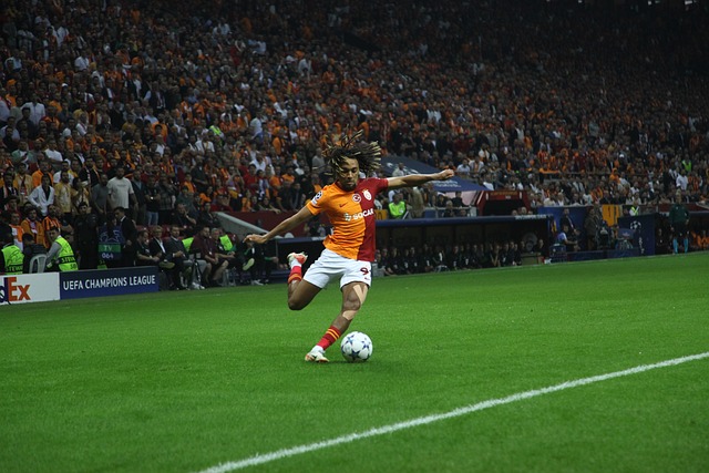 吸引了广泛 吸引了广泛