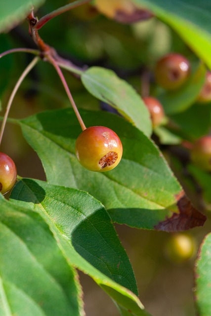 为球队带来 为球队带来