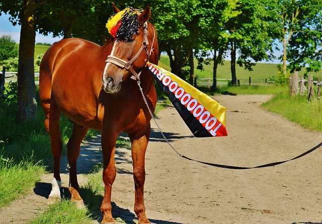 而是湖人的 而是湖人的