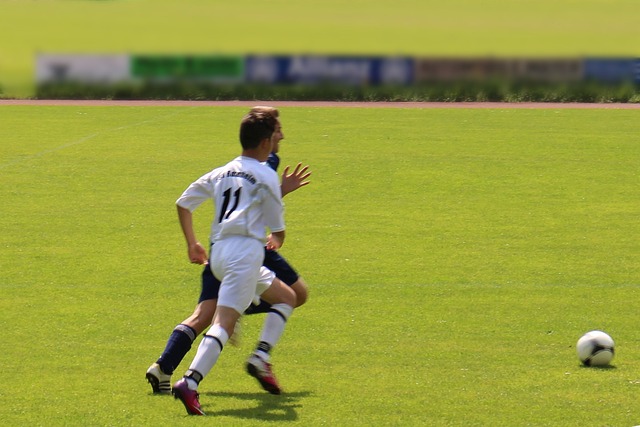 体质疑的焦 体质疑的焦